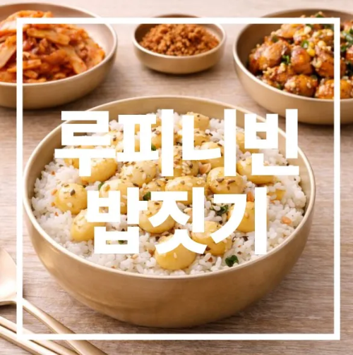 루피니빈 밥짓기