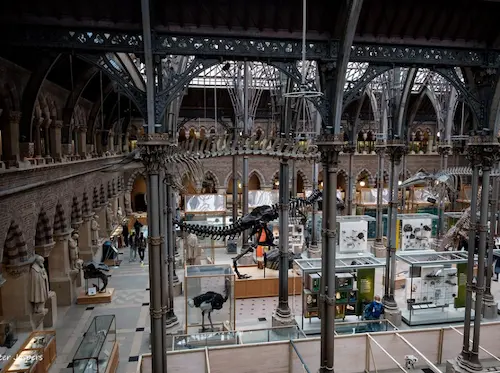 옥스퍼드 애시몰린 박물관