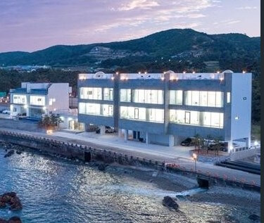 비다펠리즈 풀빌라 펜션