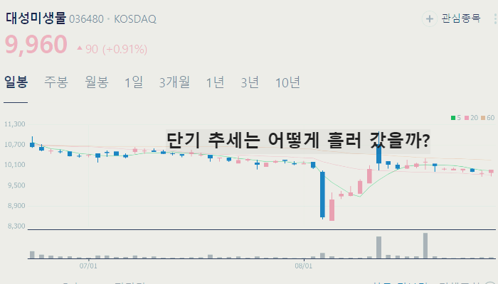 아프리카 돼지열병 관련주 백신 대장주 TOP9