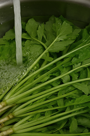 열무김치 맛있게 담그는법황금레시피