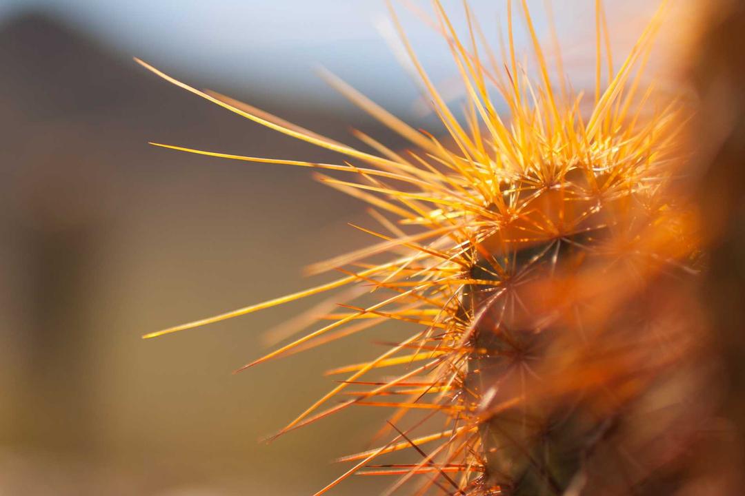 LLM 생성 제출물은 금지되어야 한다 — arXiv 1년 정지부터 Lobsters.rs 논쟁까지