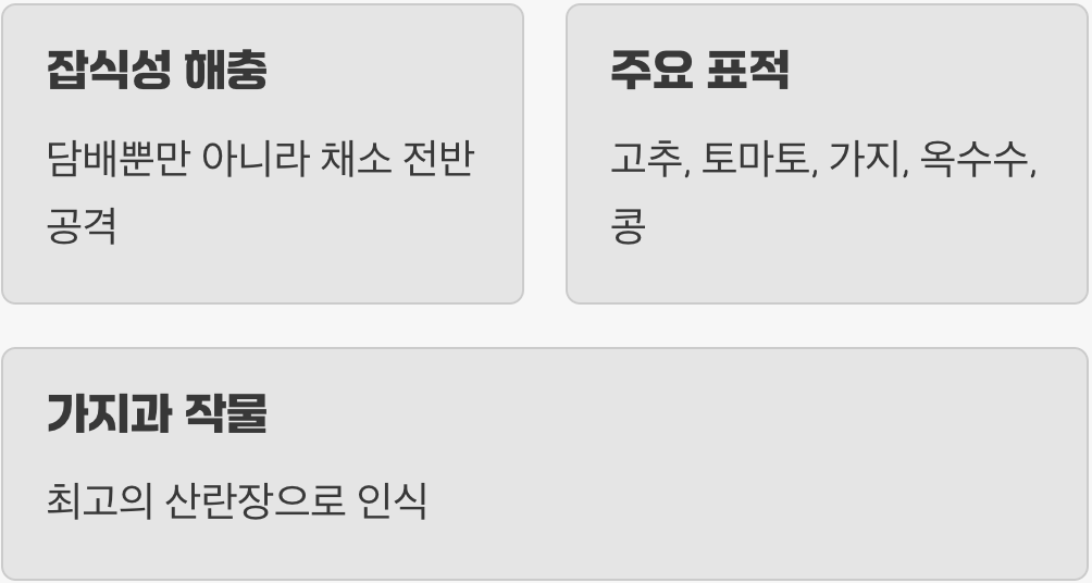 이름에 속지 마세요, 담배만 좋아하지 않아요