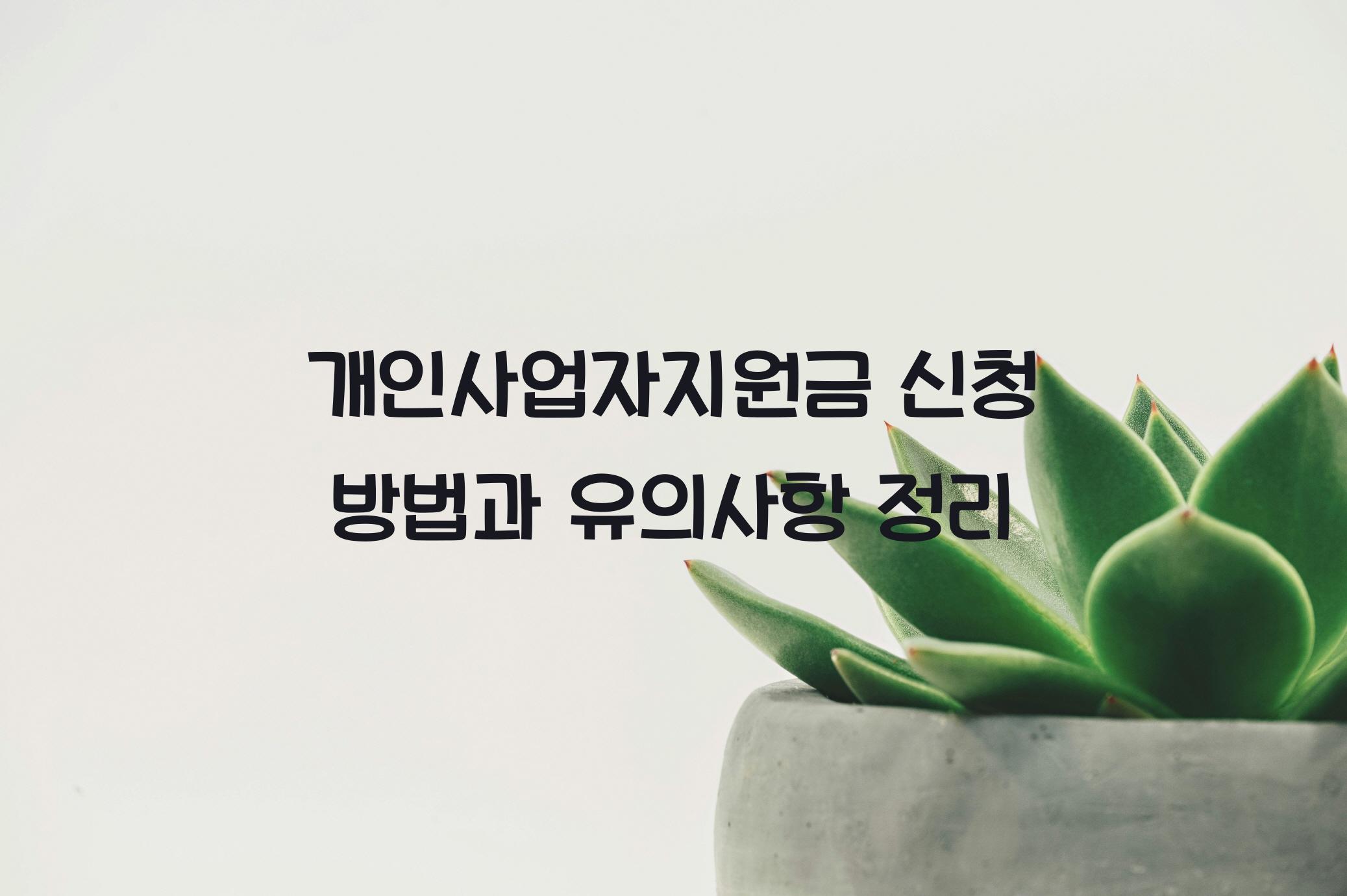 개인사업자지원금