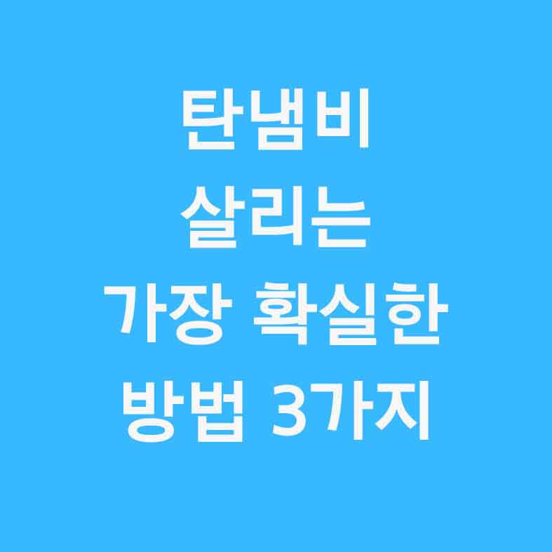 섬네일 이미지