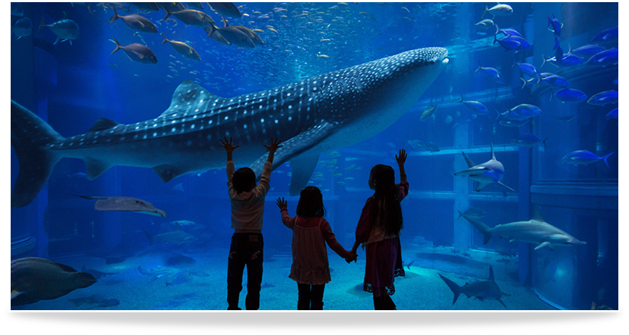 오사카 가이유칸