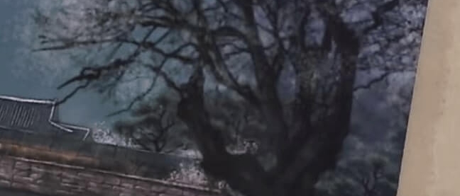 송가인 신곡 &lsquo;아사달&rsquo;&amp;#44; 100만 뷰 돌파! 팬심을 사로잡다