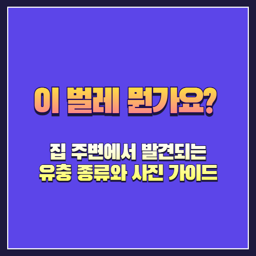 이 벌레 뭔가요? 집 주변에서 발견되는 유충 종류와 사진 가이드