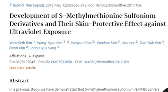 피부상처에 좋은 논문