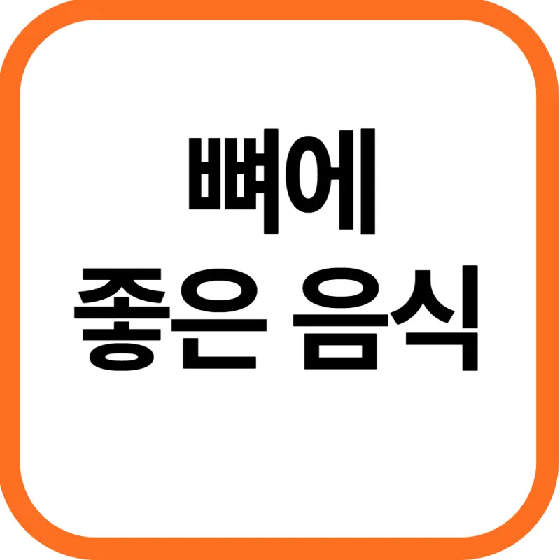 뼈에 좋은 음식 best 10