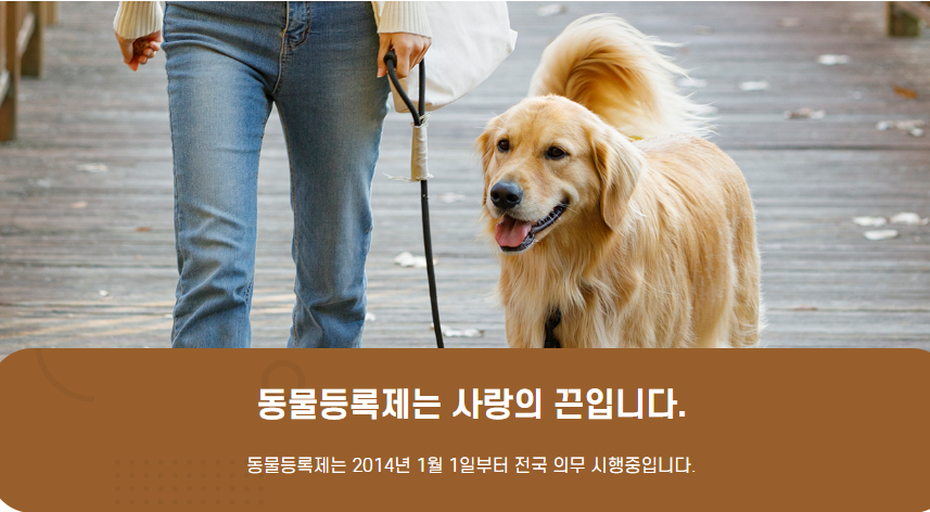 등록번호조회