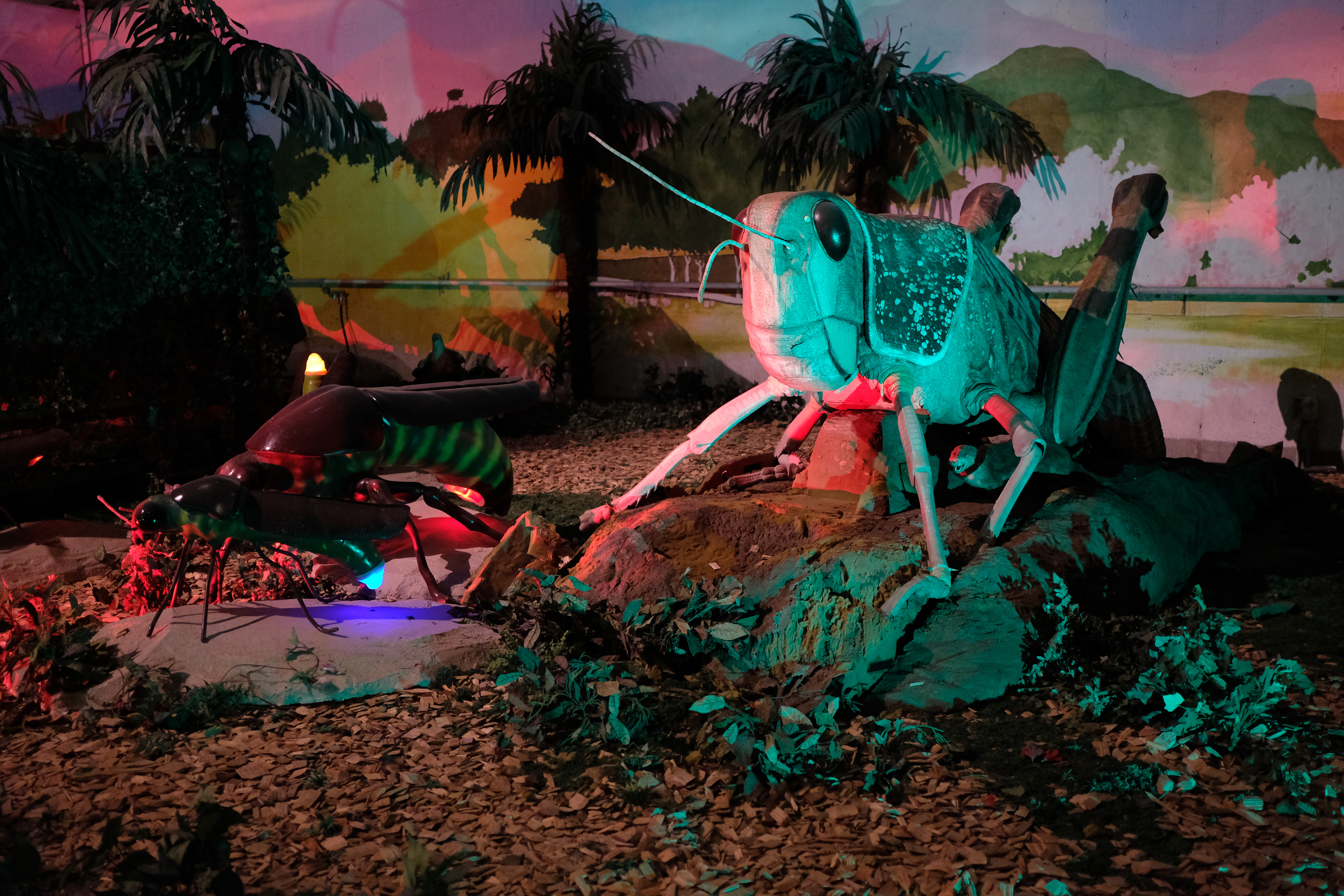 덕평공룡수목원 곤충관 대형 메뚜기