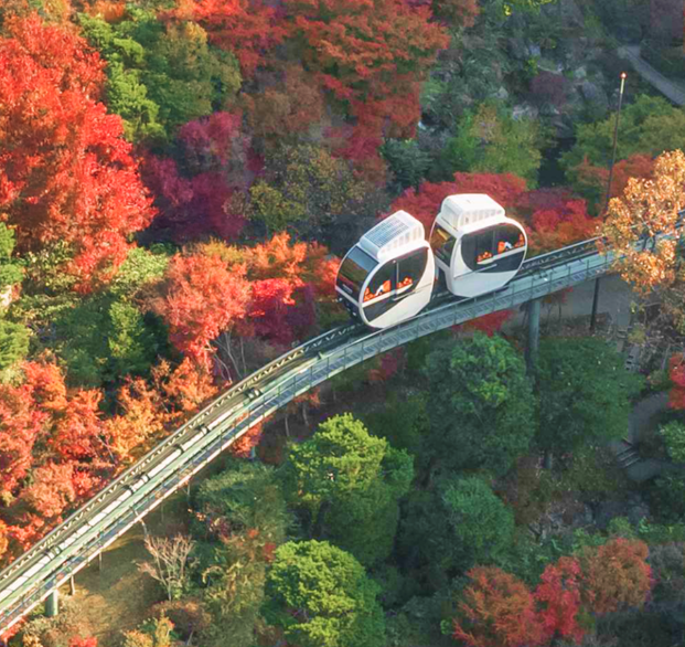 화담숲 단풍 절정시기