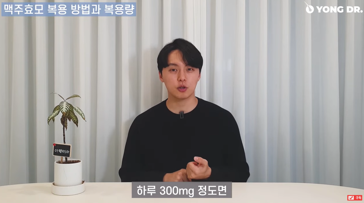 맥주효모 하루 적정 섭취 용량 300 mg