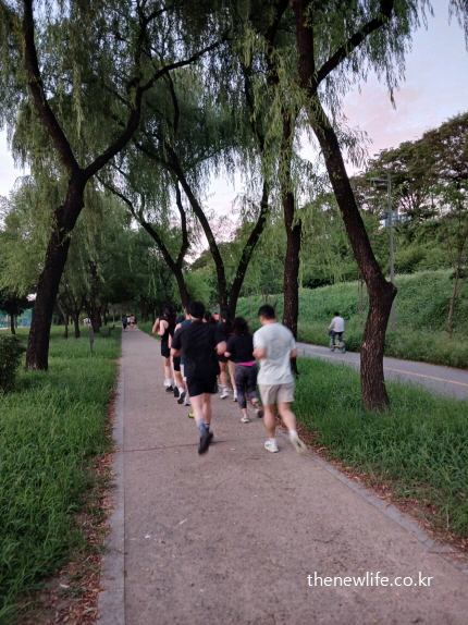 공원 산책로에서 여러 명이 함께 빠르게 조깅하는 모습