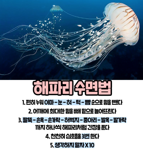 해파리 수면법