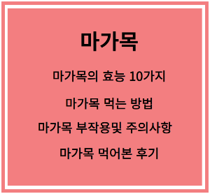 마가목