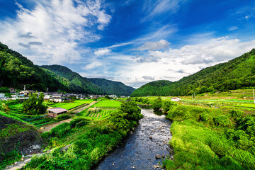 올팜 맞팜 친구 초대 혜택 총 정리