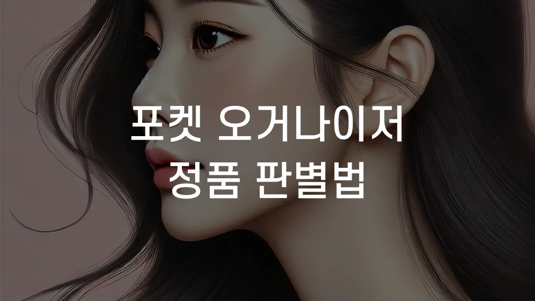 포켓 오거나이저 정품 판별법