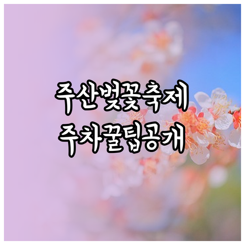 2026 주산 봄꽃축제 일정과 보령댐..