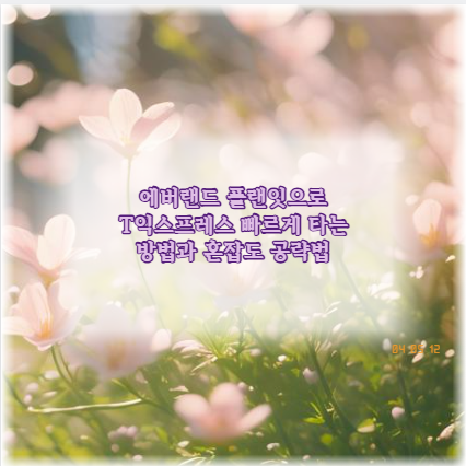 에버랜드 플랜잇으로 T익스프레스 빠르게 타는 방법과 혼잡도 공략법