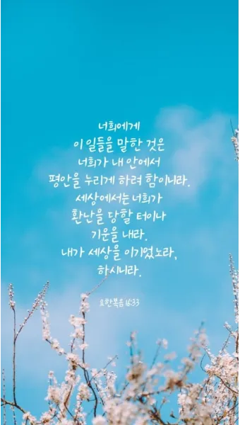 요한복음 9장 25절 성경말씀 - 그가 대답하되 그가 죄인인지 내가 알지 못하나 한 가지 아는 것은_16
