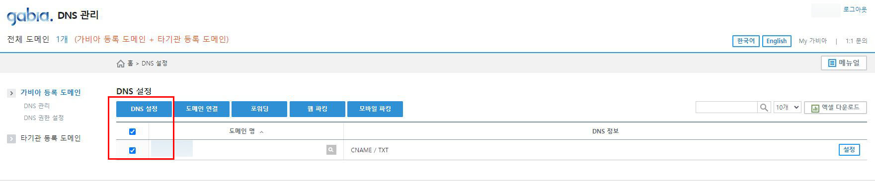 DNS 설정 화면