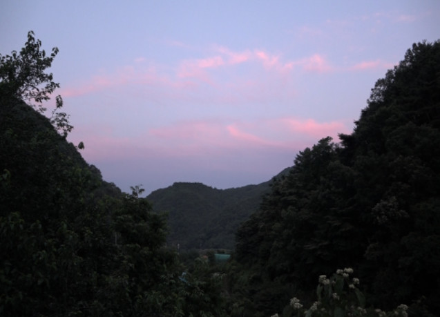 사노라면 산골밥집 미자 성주