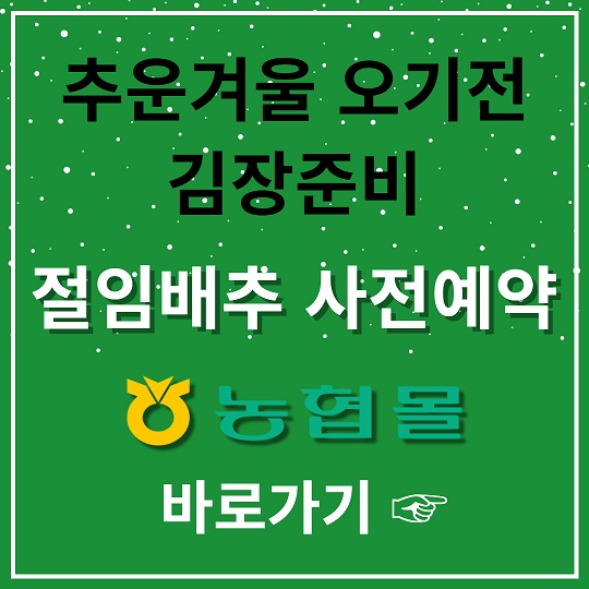 농협몰 절임배추 사전예약