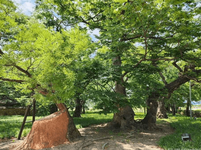 경주 가볼만한곳 ,초등학생과 박물관 역사관 경주월드 입장료