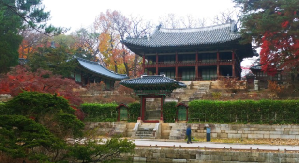 단풍