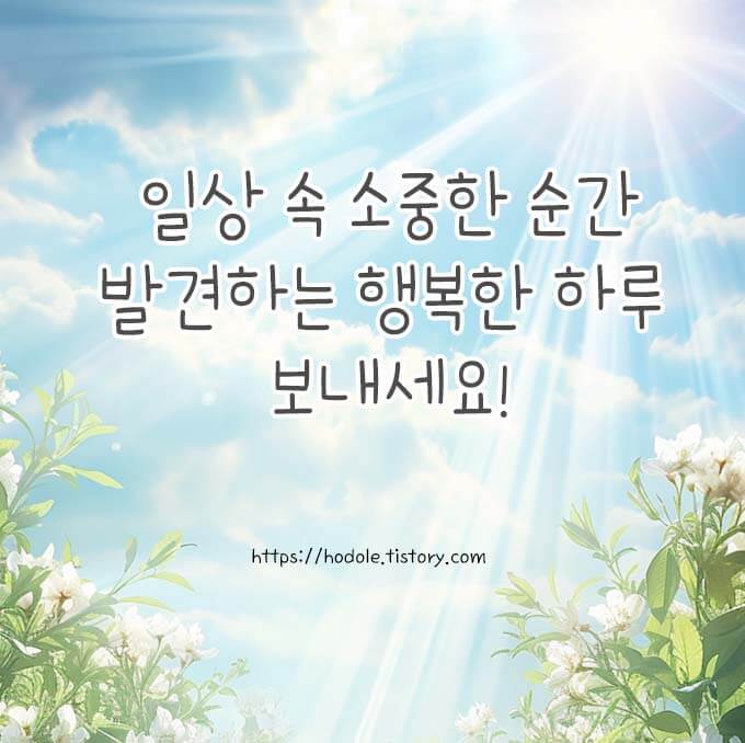 오늘도 좋은하루