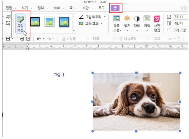 한글 캡션 설정 표번호 그림번호