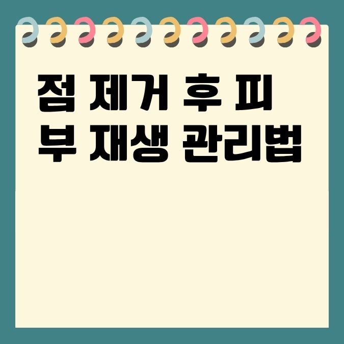 점 제거 후 피부 재생 관리법