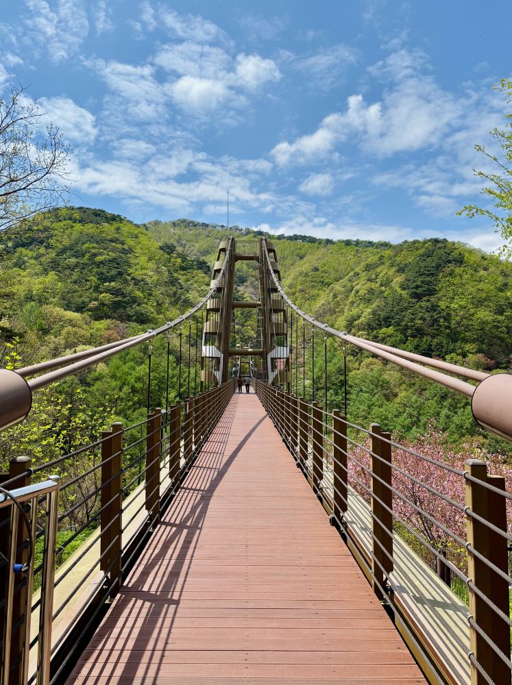 좌구산 명상구름다리