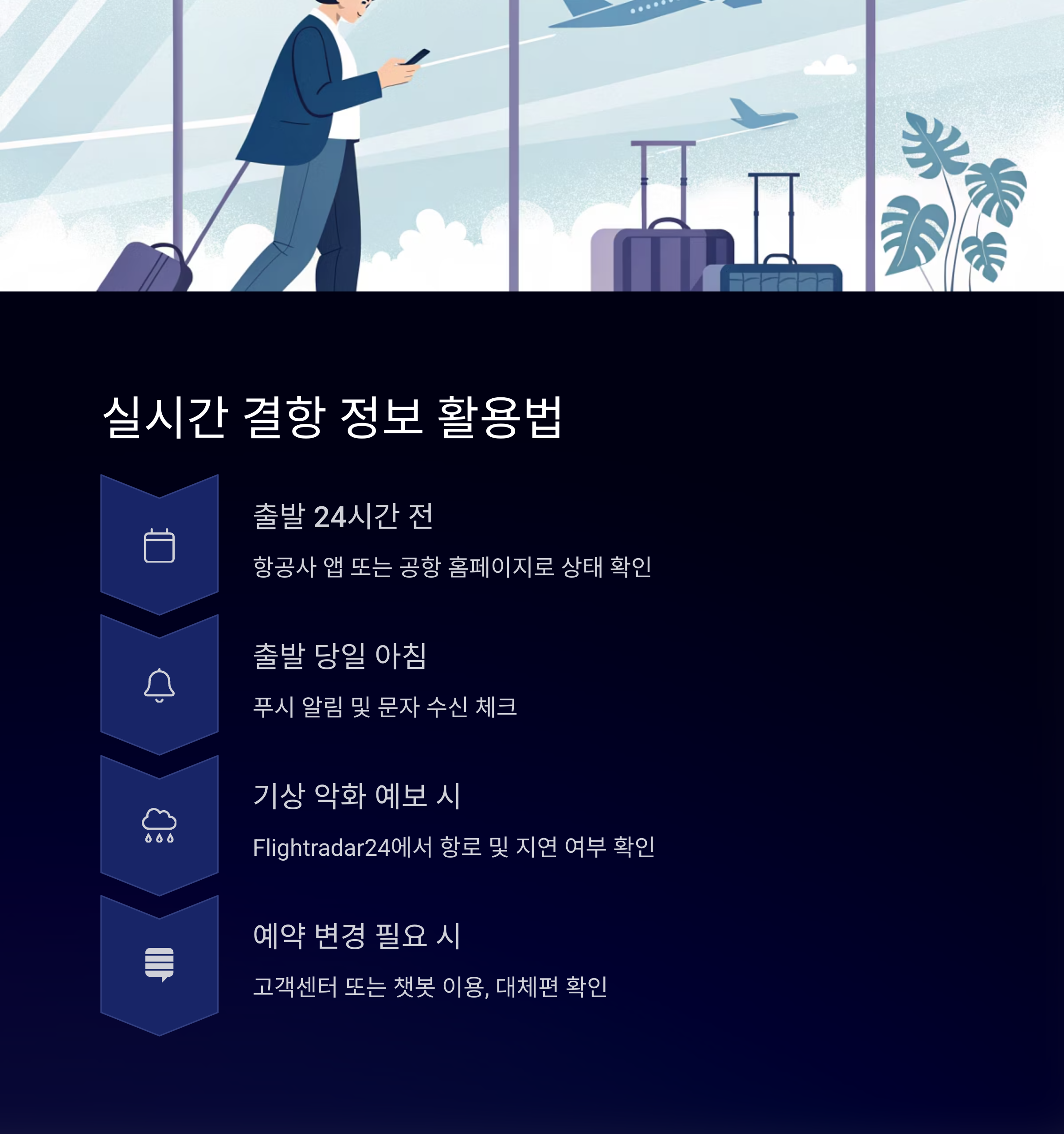 실시간 결항 정보 활용법