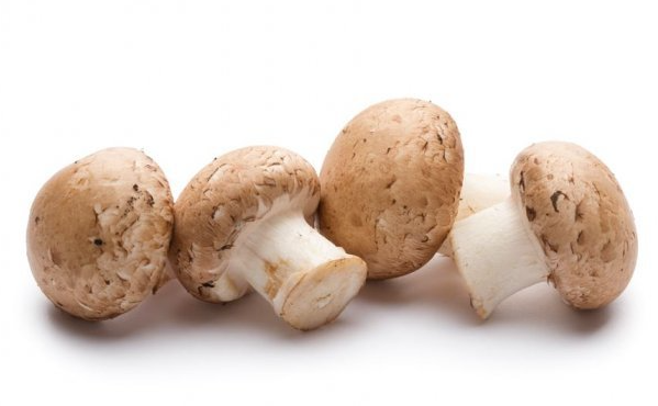 간암 말기 증상