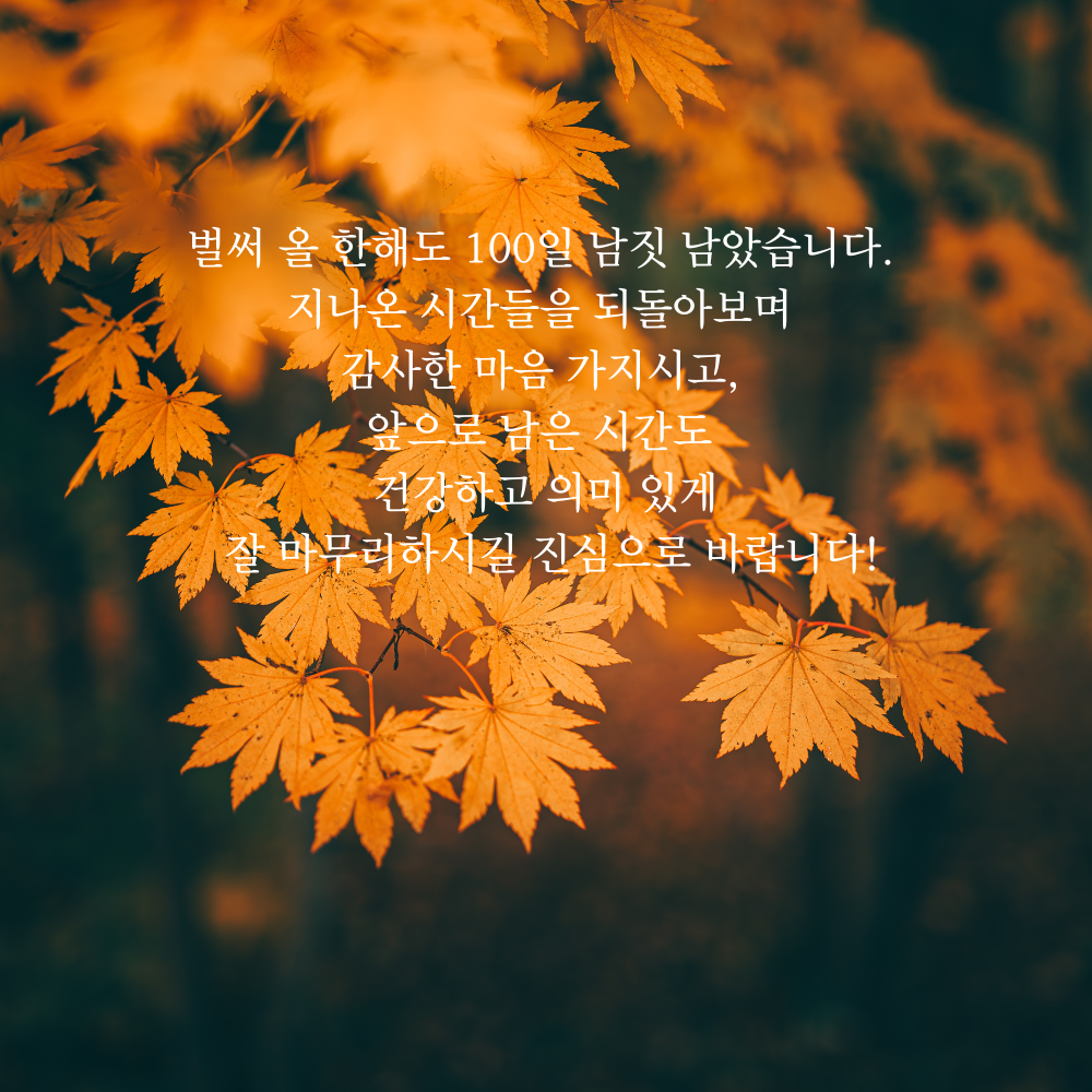 가을 인사말 추분 이미지 문구 모음집