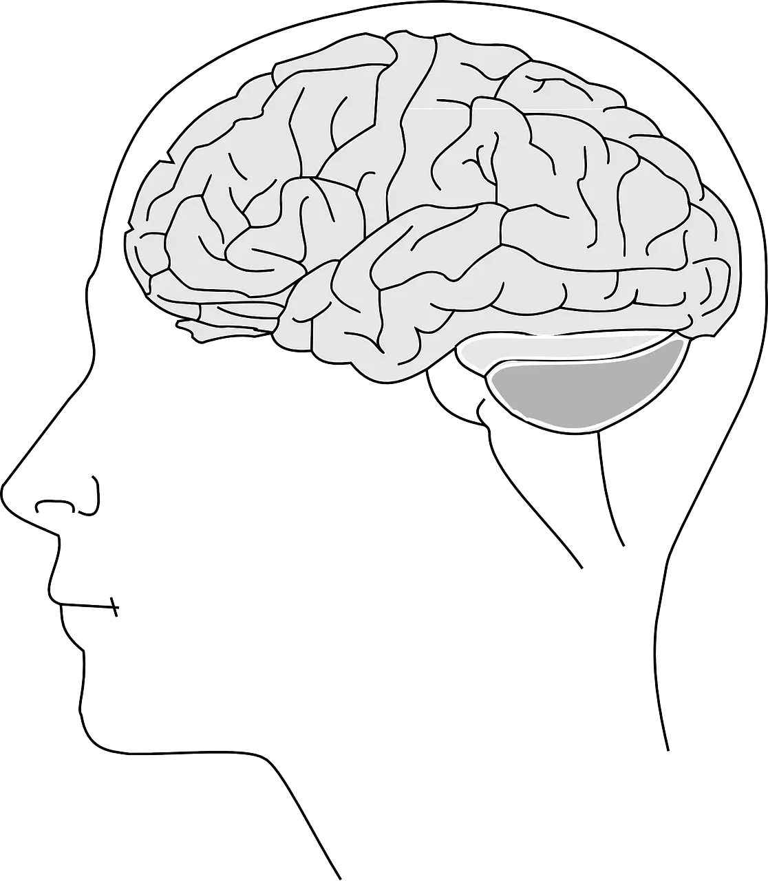 두뇌 건강을 위한 영양소와 두뇌 운동