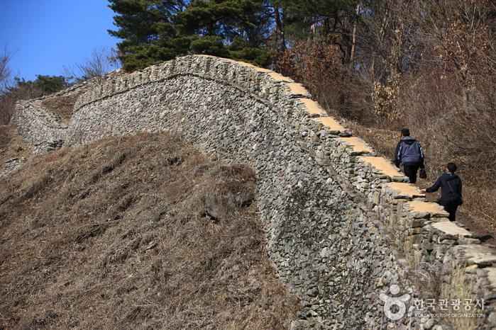 금성산성