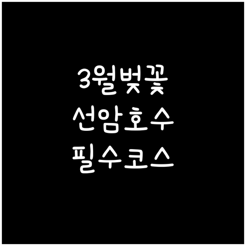 선암호수공원 벚꽃 산책로 3월 방문 ..