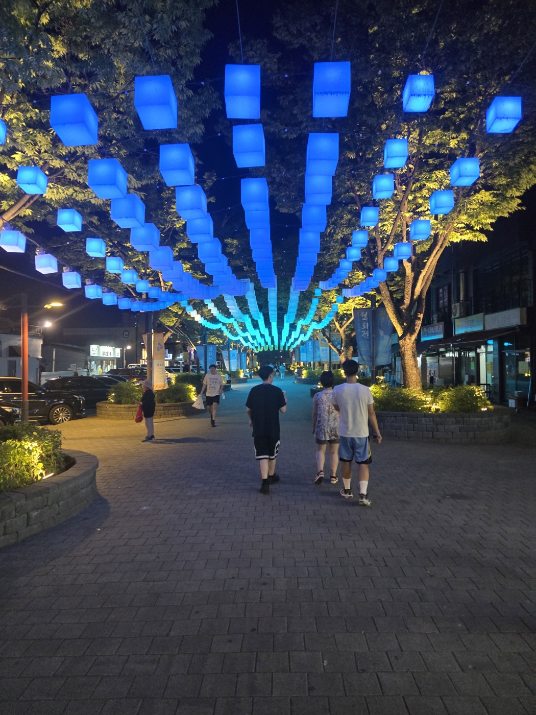 강릉-월화거리-2