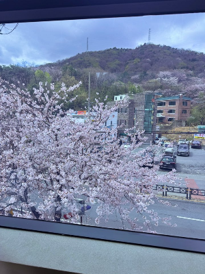 내 마음을 지키는 가장 현실적인 방법