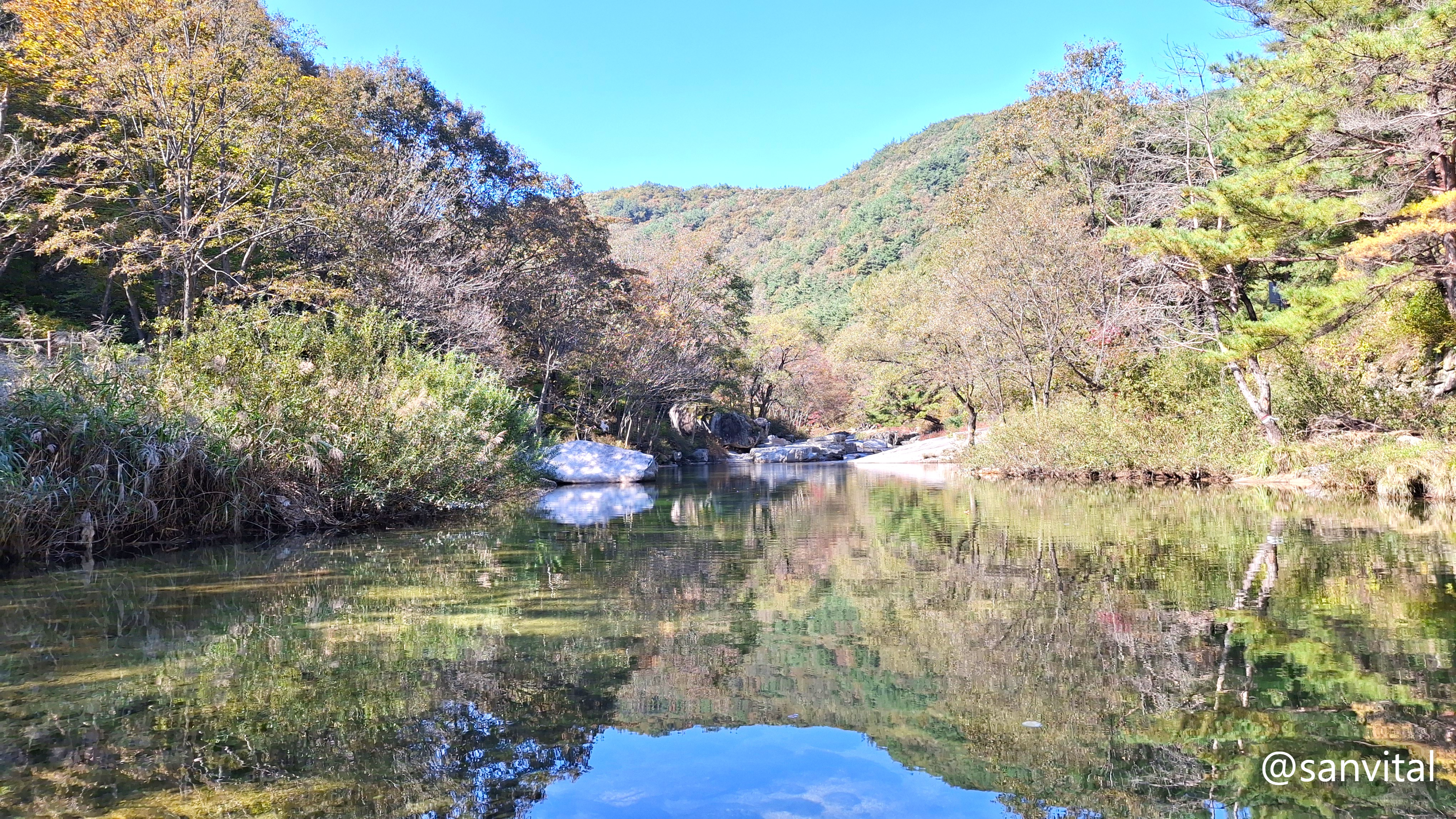 월성계곡 산수교 아래 계곡