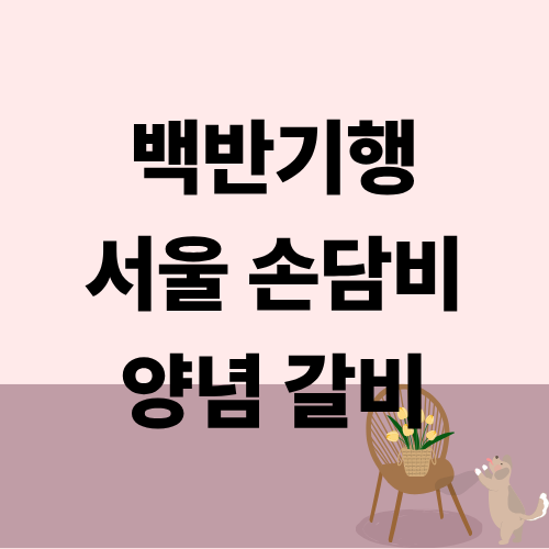 백반기행 서울 양념갈비 평양냉면 손담비