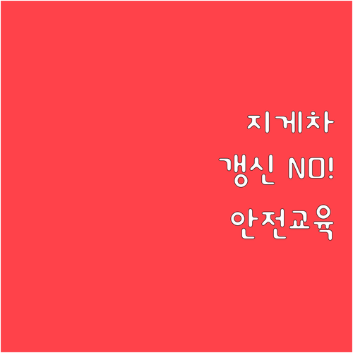 필수 확인 지게차 자격증 갱신? NO..