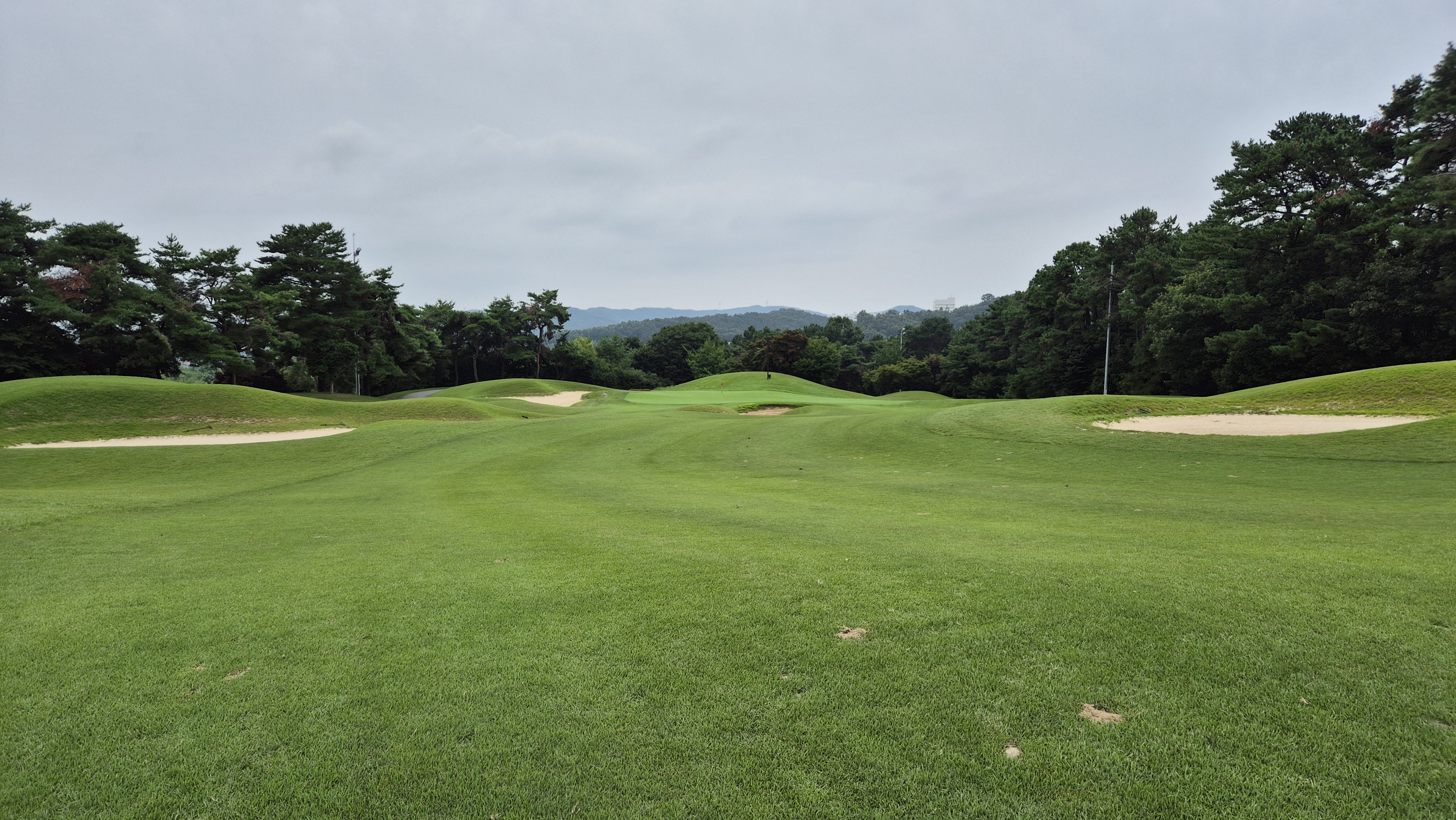 한림용인cc 다이아몬드-사파이어 코스 사진 및 공략 정보