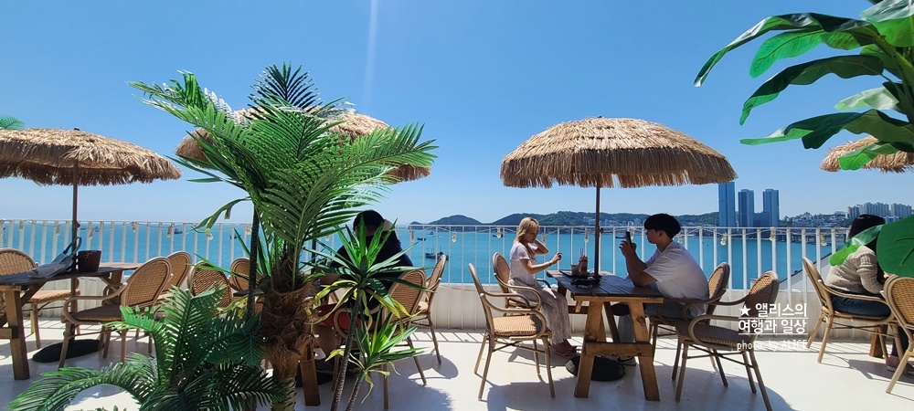 더운 여름 부산 시원한 곳 가볼만한곳 BEST 07 클럽디오아시스 35% 할인