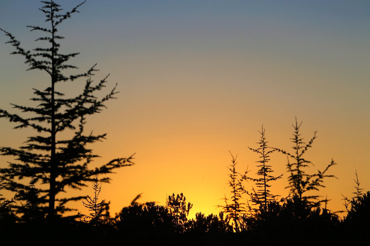 농업경영체등록 확인서 발급