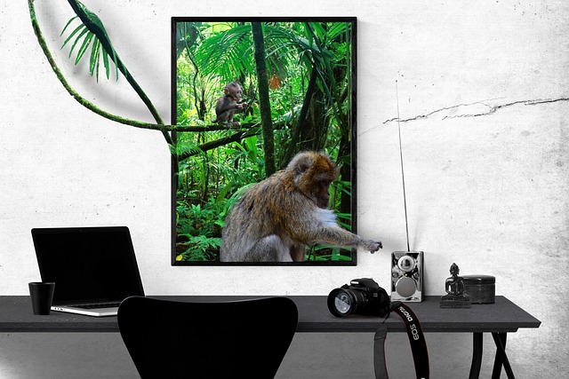 디지털유품관리 아카이브 문화와 디지털 유품의 예술적 보존 방식